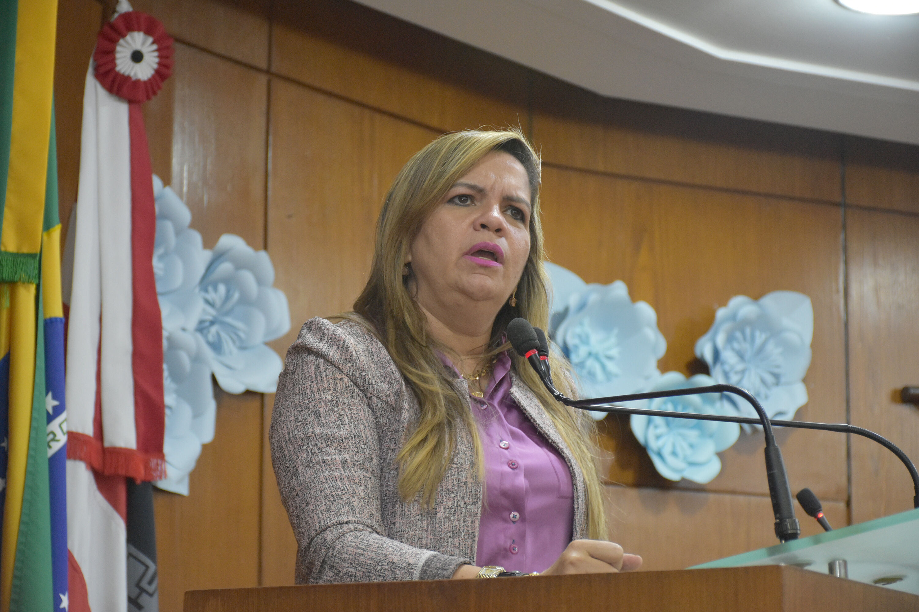 Após prisão pela Polícia Federal, Raissa Lacerda diz que está sendo vítima de "ardilosa perseguição eleitoral" Raissa Lacerda, Ministro