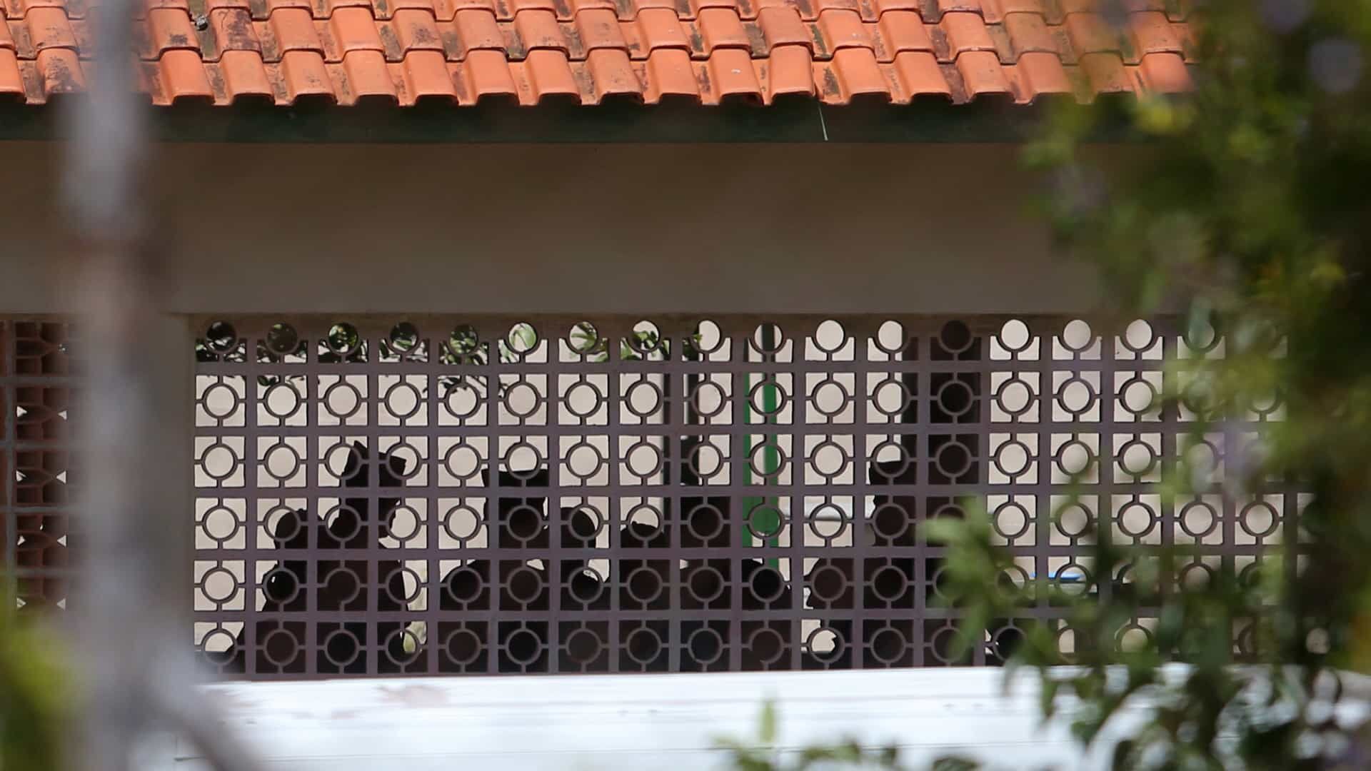 'Queriam matar todo mundo', diz sobrevivente de massacre em Suzano 'Queriam matar todo mundo', diz sobrevivente de massacre em Suzano