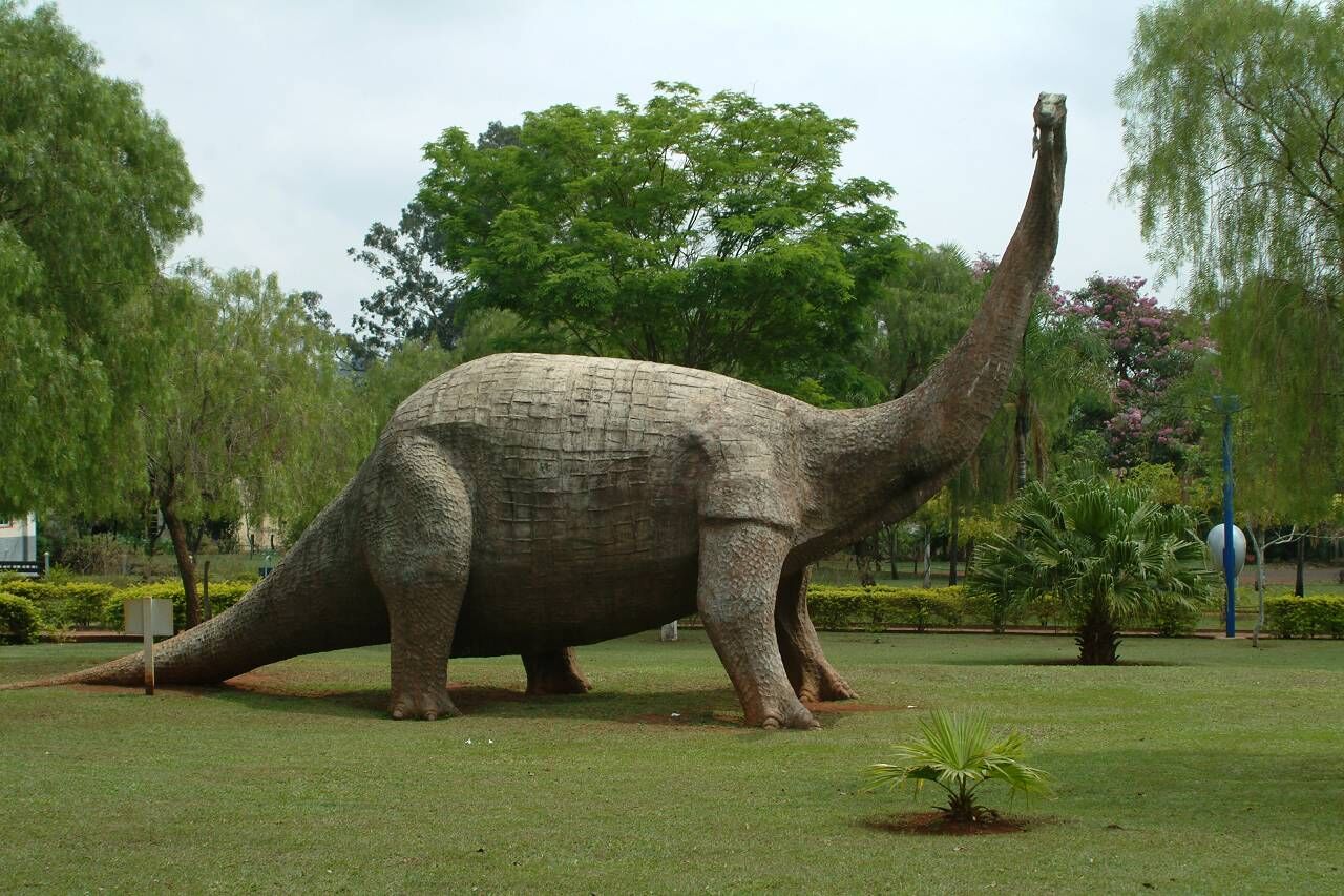 Osso de dinossauro é achado durante obra por morador no interior de SP