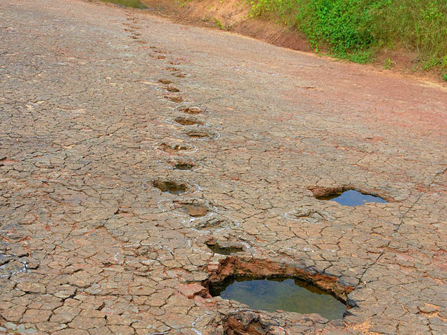 Sudema vai apresentar plano de manejo do Monumento Natural do Vale dos Dinossauros Sudema vai apresentar plano de manejo do Monumento Natural do Vale dos Dinossauros