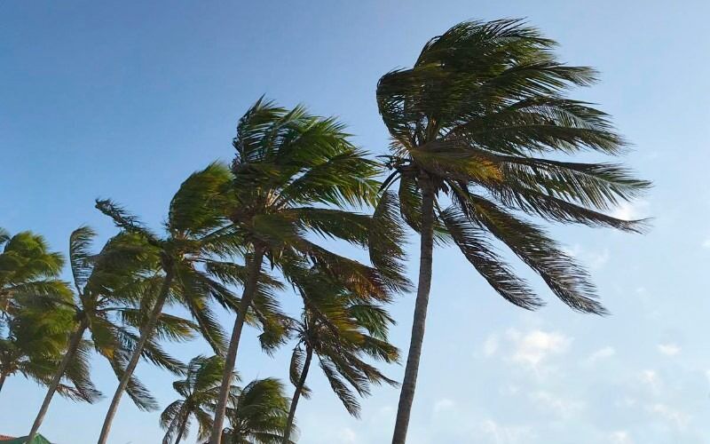Municípios da Paraíba podem ter ventos de até 60 km/h nas próximas horas Municípios da Paraíba podem ter ventos de até 60 km/h nas próximas horas