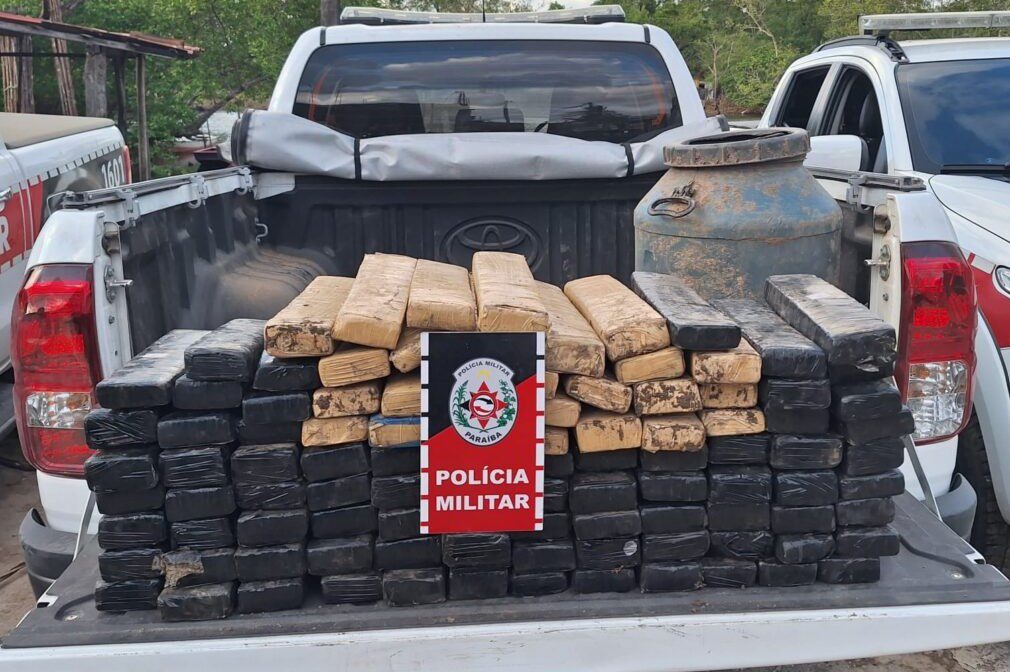 Polícia apreende mais de 100kg de maconha escondidos dentro de mata durante operação em Bayeux