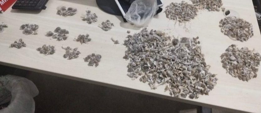 Perseguição policial termina com homens presos e droga apreendida na Zona Rural de Uiraúna Perseguição policial termina com homens presos e droga apreendida na Zona Rural de Uiraúna