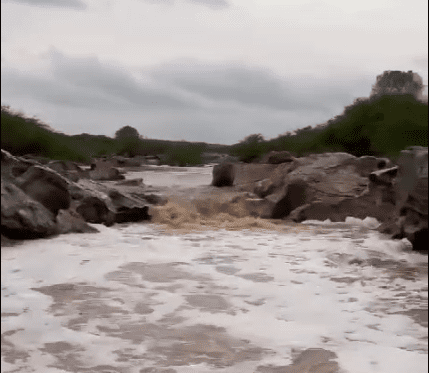 Após chuvas intensas em toda Paraíba, vídeo mostra cheia do rio Taperoá em Cabaceiras Após chuvas intensas em toda Paraíba, vídeo mostra cheia do rio Taperoá em Cabaceiras
