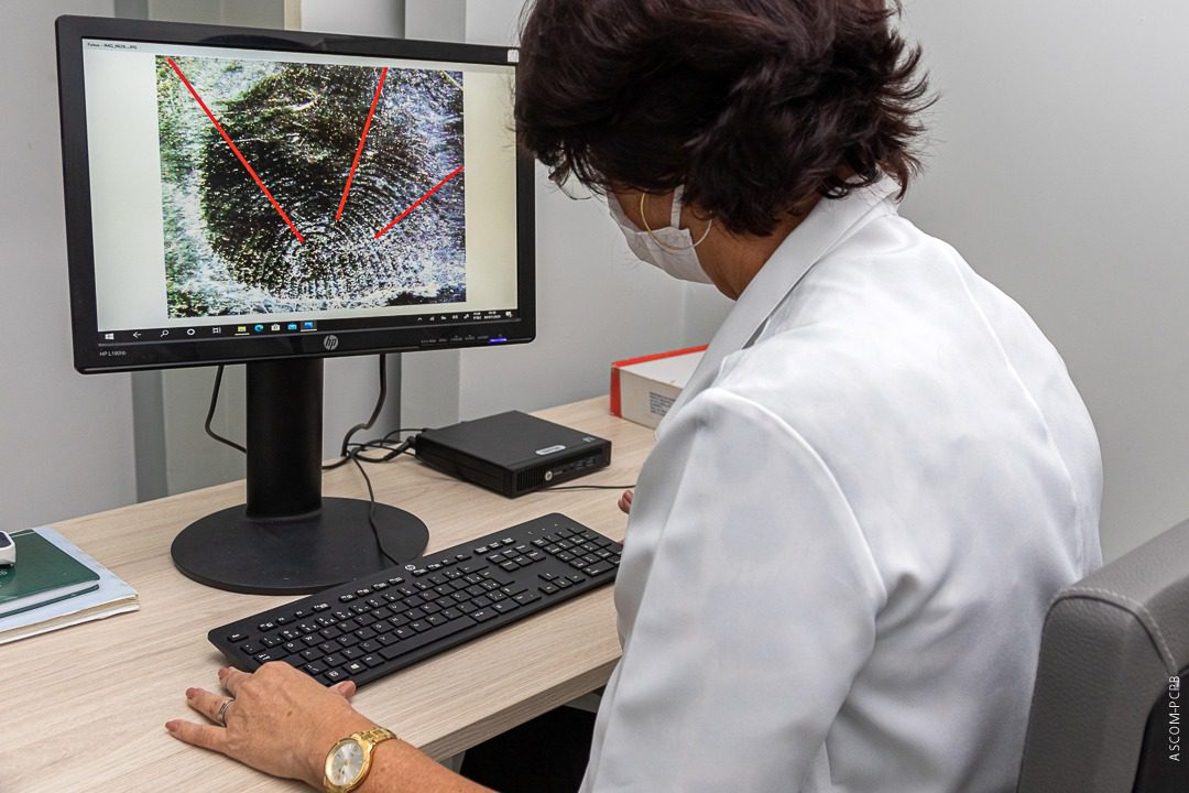 Emissão da Carteira de Identidade Nacional na Paraíba segue os mesmos procedimentos do RG, com agendamento Emissão da Carteira de Identidade Nacional na Paraíba segue os mesmos procedimentos do RG, com agendamento