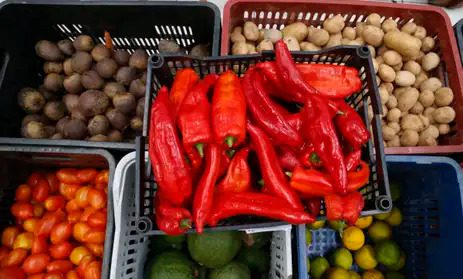 Vendas de produtos orgânicos no país crescem 30%, revela pesquisa Vendas de produtos orgânicos no país crescem 30%, revela pesquisa