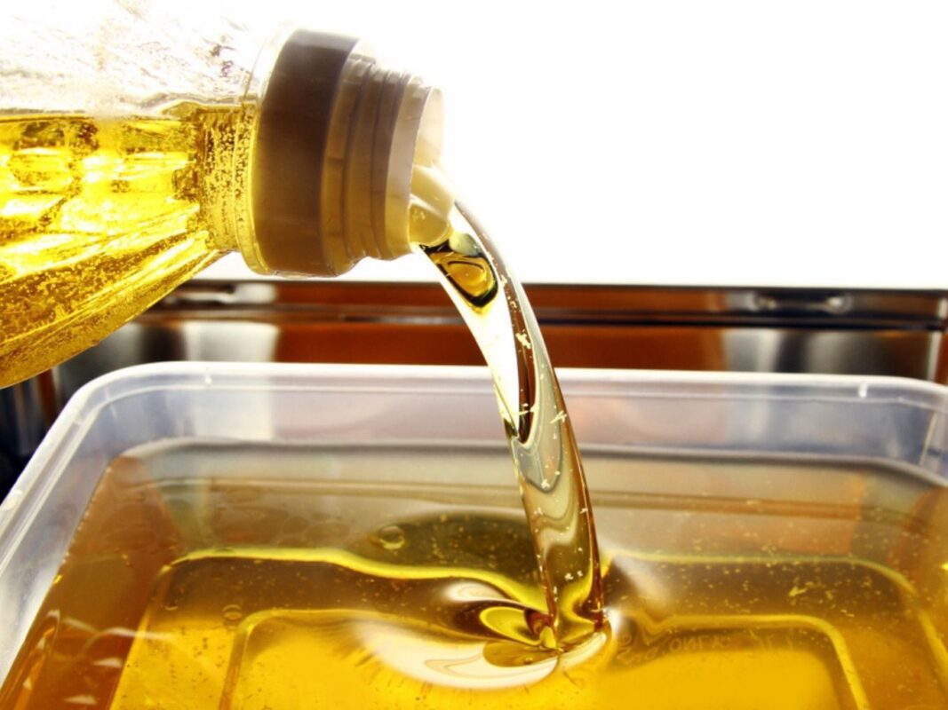 Reutilizar óleo de cozinha pode prejudicar saúde do cérebro